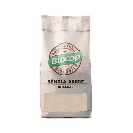 Harina de arroz BIO S/G 500g